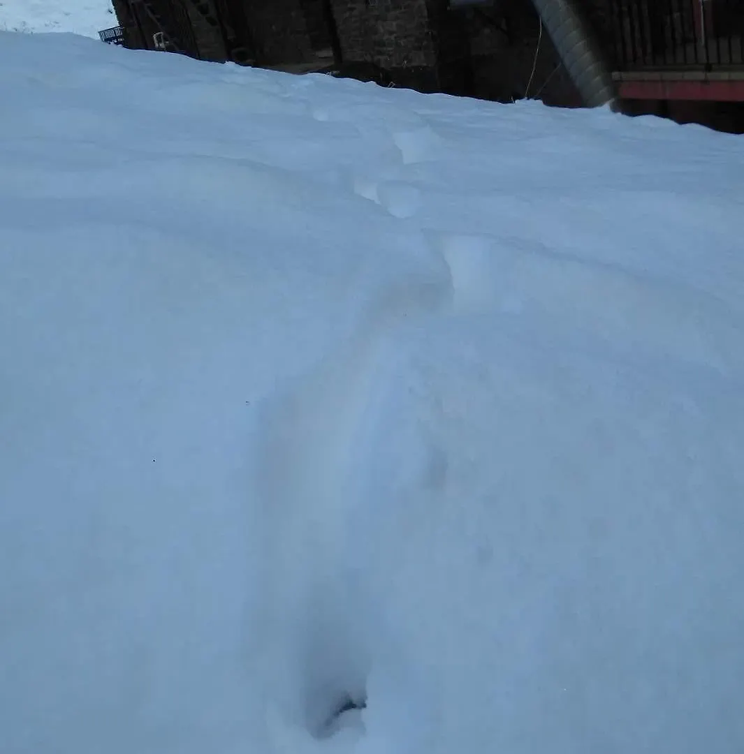 Xalet Besoli Arinsal 3*,